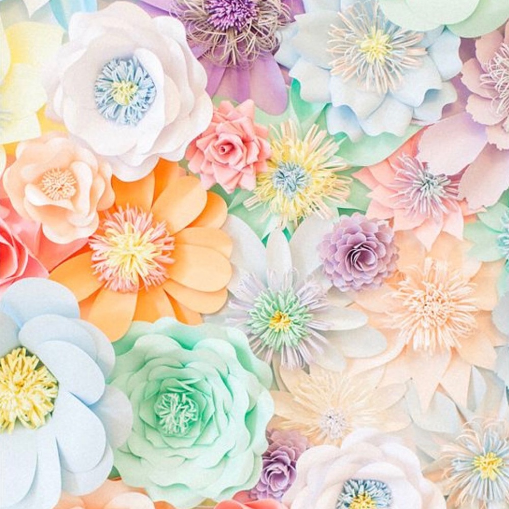 Meet your Posher, Macy